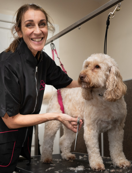 Christine grooming a dog