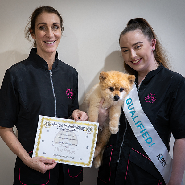 Senior dog groomer presenting a certificate to a student groomer