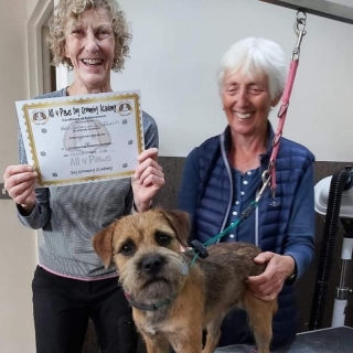 Helen_Sally_certificate