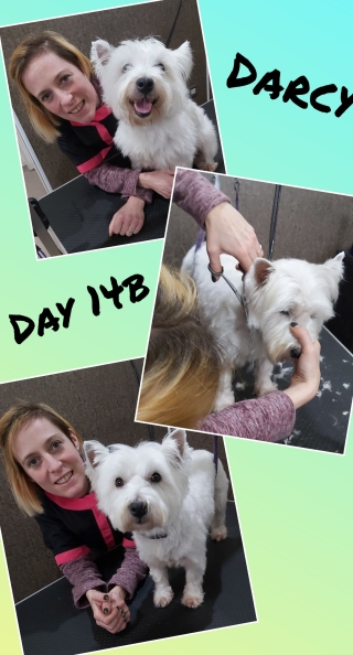 inCollage_20191126_131605324